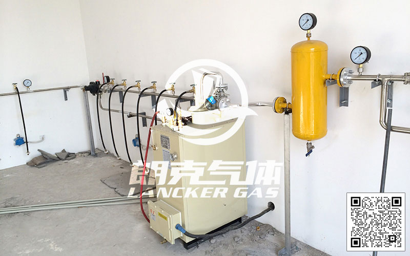 鍋爐燃燒機(jī)用 液化石油氣氣化爐匯流排