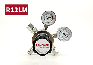 R12LM中等流量一級(jí)不銹鋼減壓閥五孔調(diào)壓閥帶安全閥